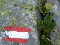 Wegmarkierung auf flechtenbedecktem Fels